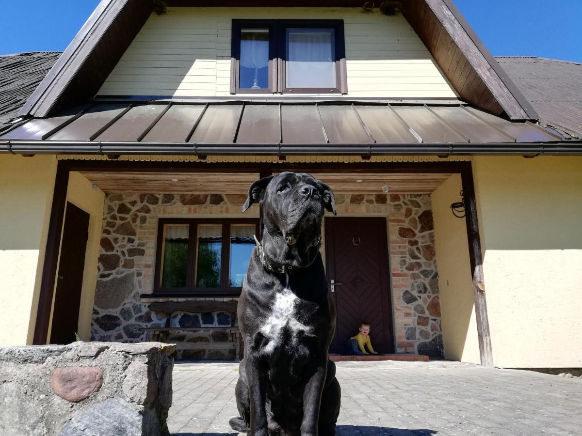 Liepziedos Villa Edole Bagian luar foto
