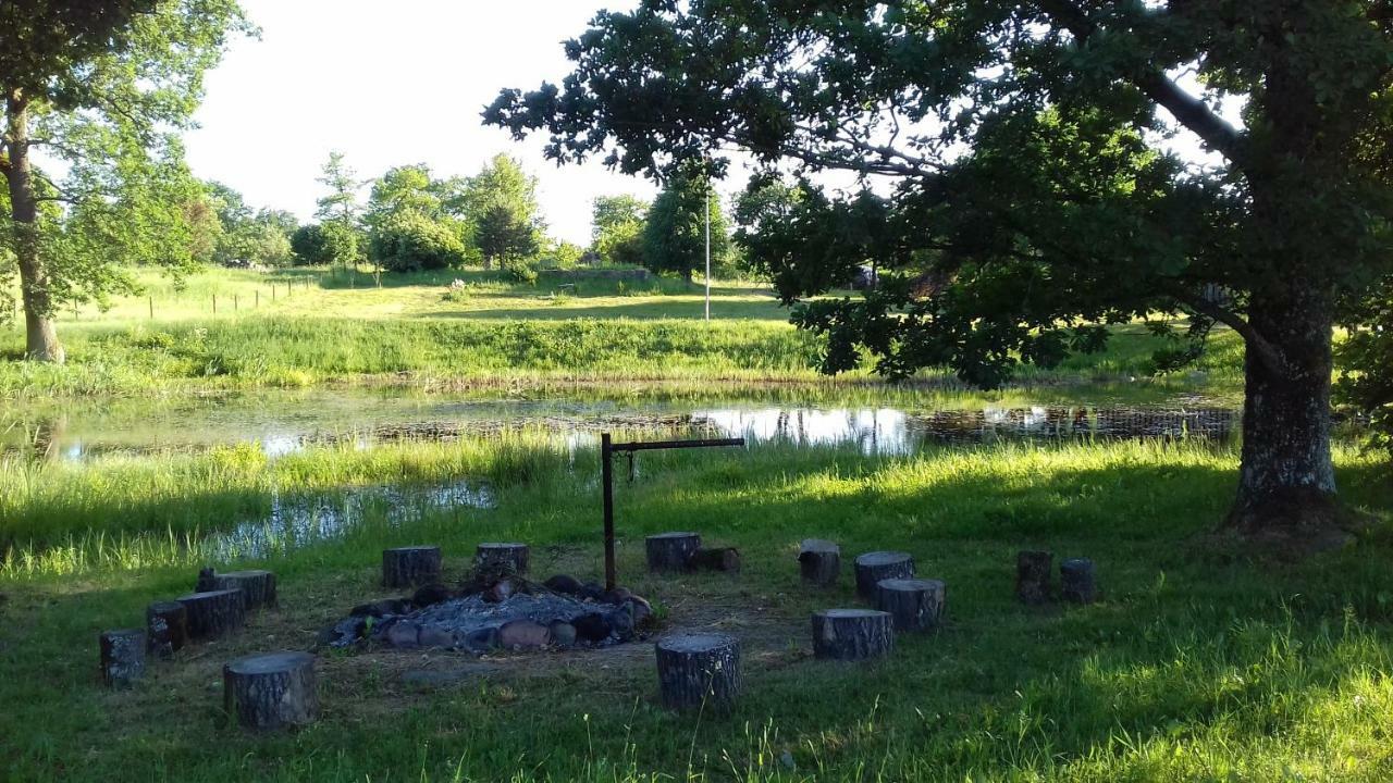 Liepziedos Villa Edole Bagian luar foto