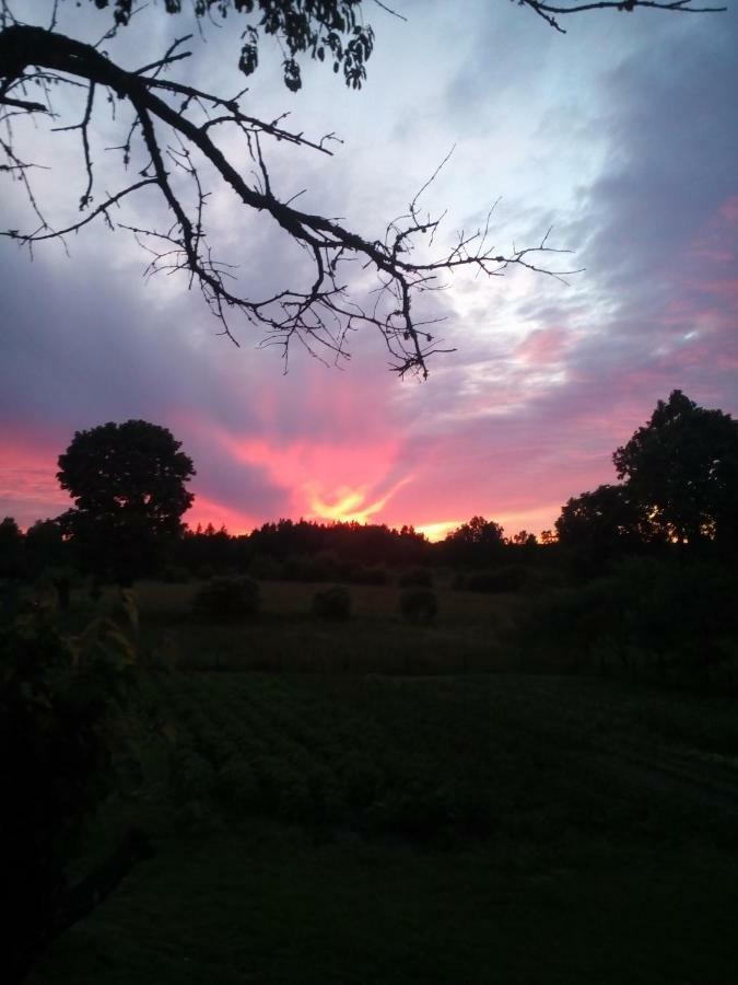 Liepziedos Villa Edole Bagian luar foto
