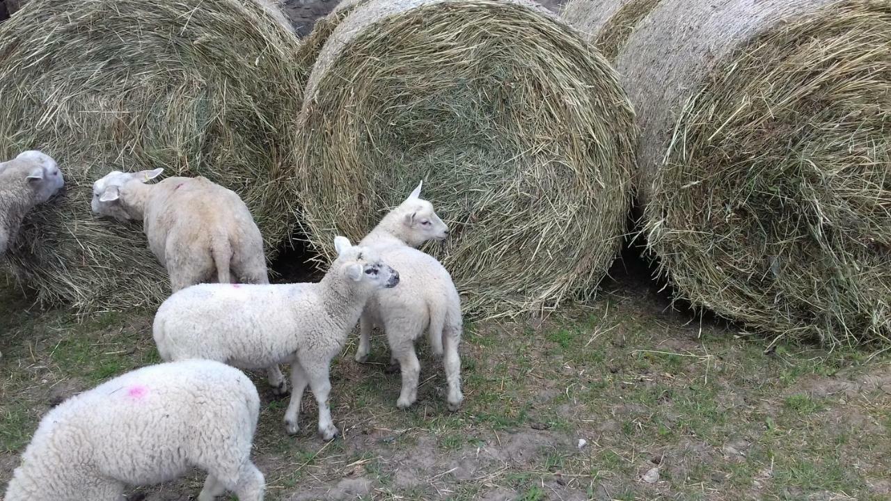 Liepziedos Villa Edole Bagian luar foto